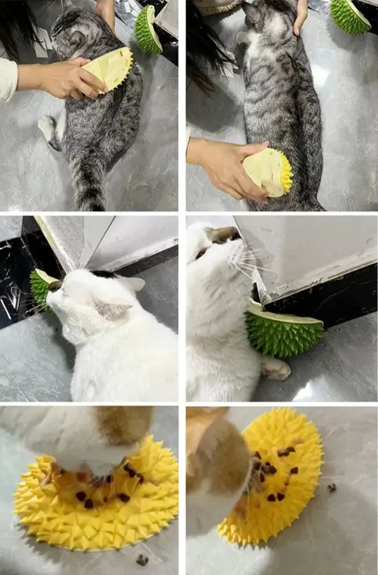 Pet Wall Scratcher & Groomer