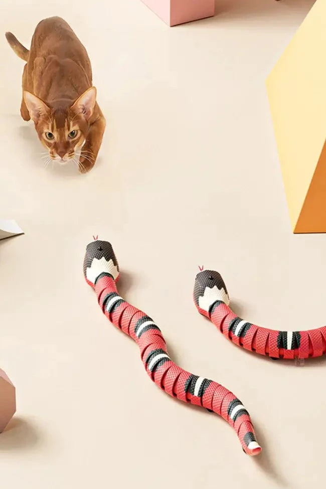 Husdjur Interaktiv Ormleksak