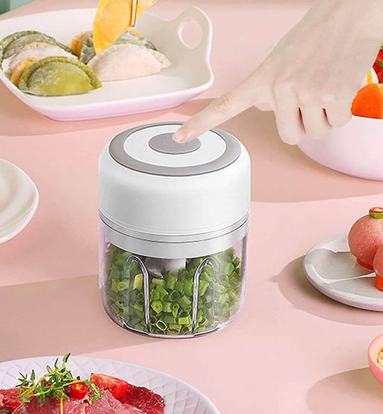 Elektrisk miniskivare