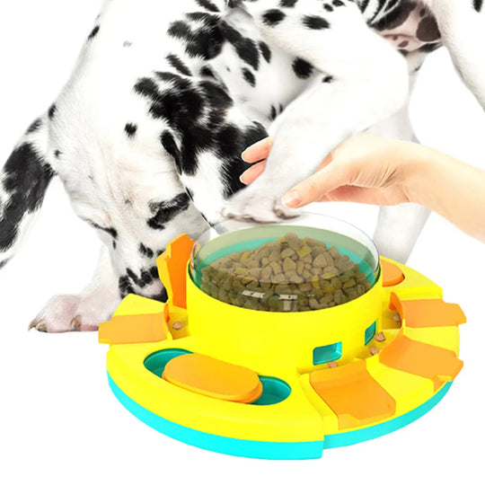 Pet Puzzle Feeder Leksak