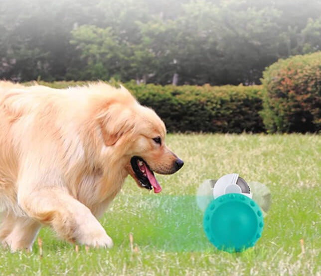 Robot Djurgodisautomat