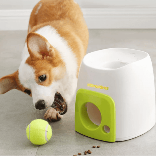 Djurgodis Avfyrande Bollkastare