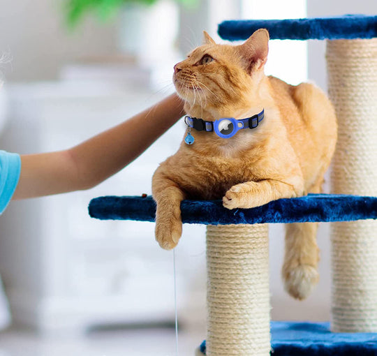 Anti-Lost Pet Collar