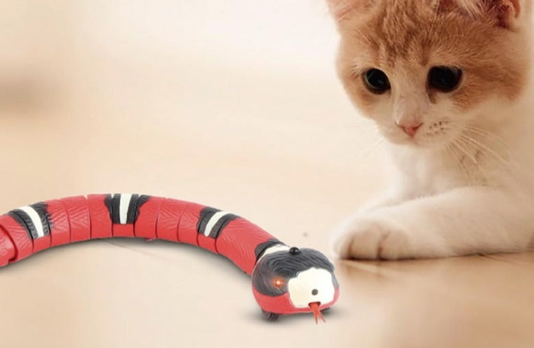 Husdjur Interaktiv Ormleksak