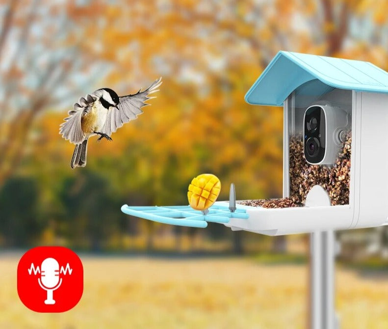 Smart fågelmatning