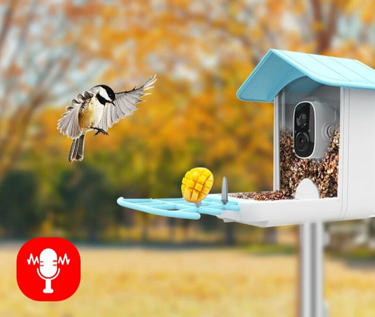 Smart fågelmatning