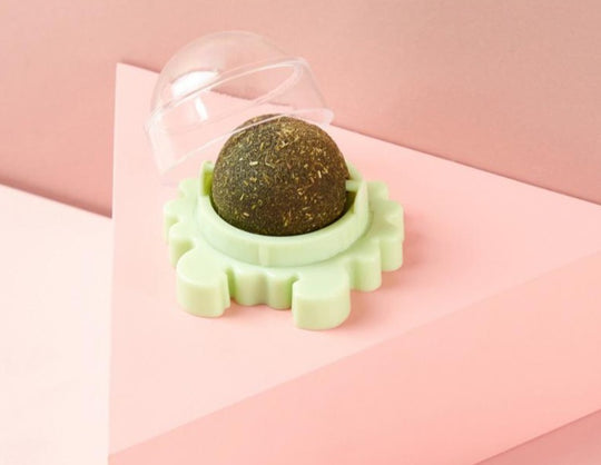 Catnip Roterande Molar Leksak