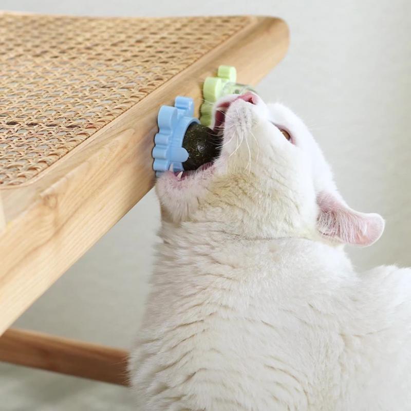 Catnip Roterande Molar Leksak