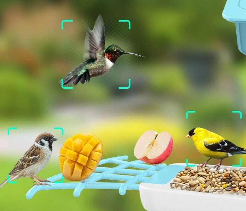 Smart fågelmatning