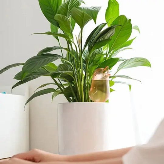 Fågelformade Automatiska Droppbevattnare