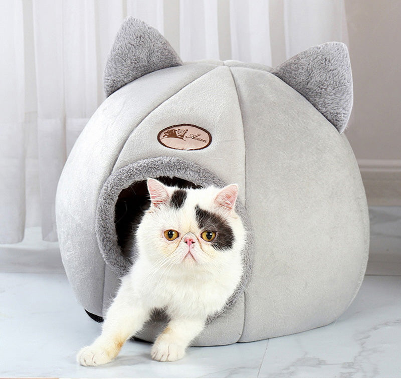 Husdjur Komfortgrotta