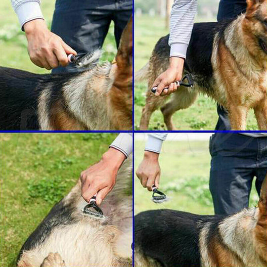 Dubbelsidig Hund Grooming Borste