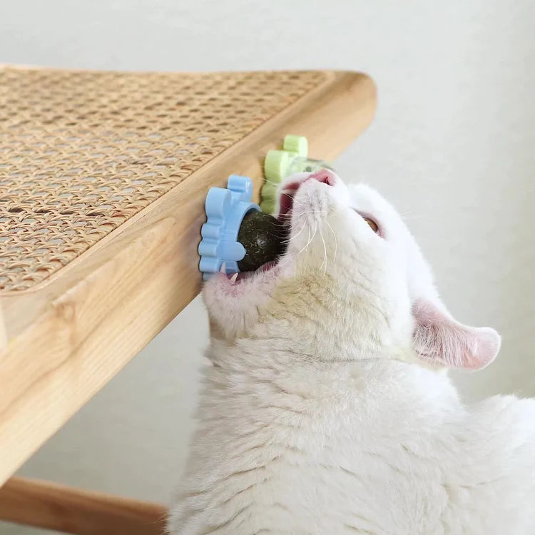 Krabba Roterbar Kattmynta Boll