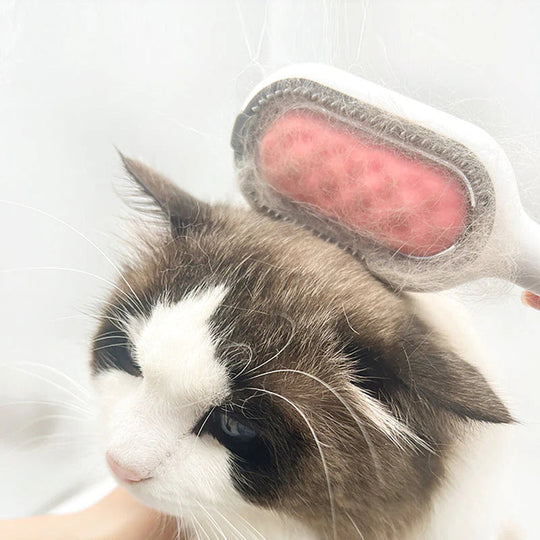 Husdjurs hårborttagning Grooming Comb