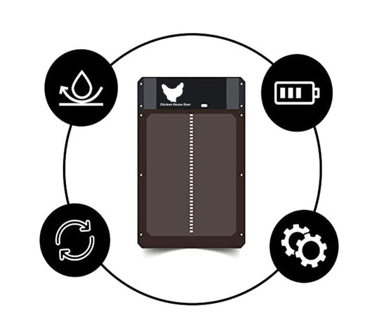 Automatisk kyckling Coop dörr