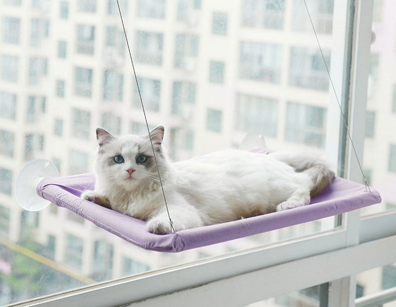 Kattfönster Hängmatta