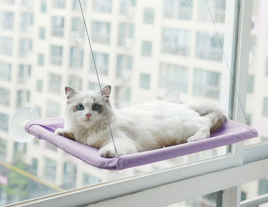 Kattfönster Hängmatta