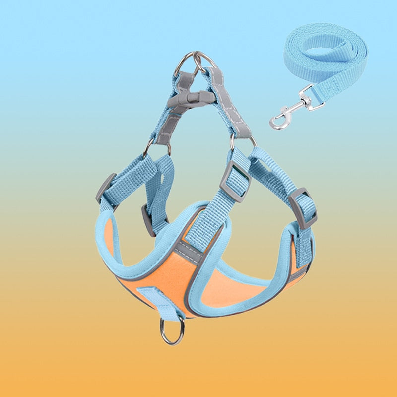 Valp Reflekterande Chest Vest