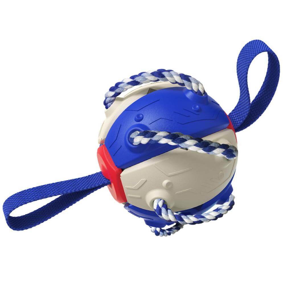 Interaktiv frisbee boll hund leksak