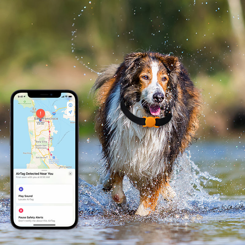 Apple Airtag Halsband