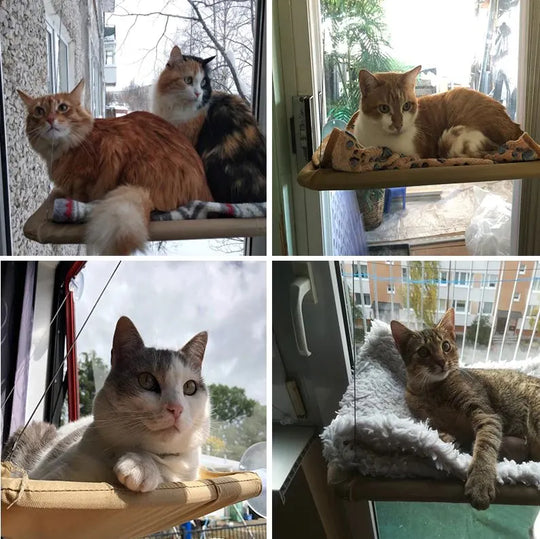Kattfönster Hängmatta