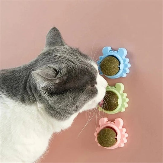 Spinning Crab Catnip Ball
