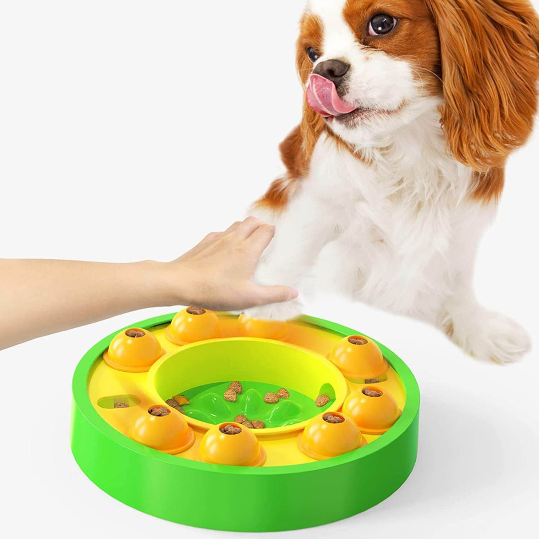 Wisdom hund leksak | Träning i långsamt läckage