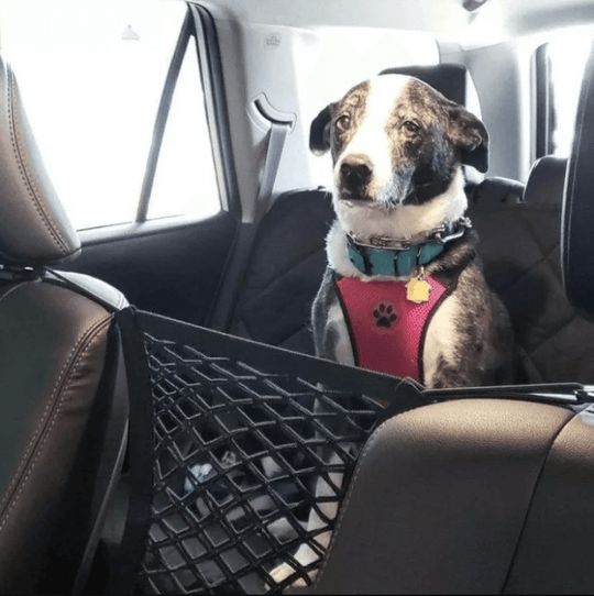 Förvaringsnät för bagageutrymme i bagageutrymmet